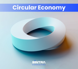 8 Key Steps For Implementing Circular Economy Servitization Practices